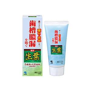 ѐ t(傤悤)d 100g ^R  Lh n~KL ̎ o