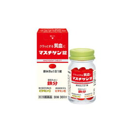 日本臓器製薬 マスチゲン 30錠 貧血 鉄分