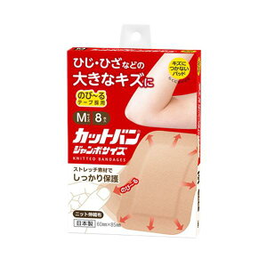 SiH Jbgo W{ M 8P Jnp ΂񂻂