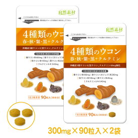 創業45年 只今増量中 4種類のウコン (2ヶ月分) サプリメント 秋ウコン 春ウコン 黒ウコン 紫ウコン 4種のウコン配合 沖縄産 1袋90粒入2袋 送料無料 大日ヘルシーフーズ直販 2袋は5日分増量 ポスト投函