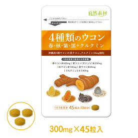 創業45年 New4種類のウコン 45粒入 ウコン サプリメント 秋ウコン 春ウコン 黒ウコン 紫ウコン 沖縄産 お試タイプ うこん ウコンの力 大日ヘルシーフーズ直販 ポスト投函