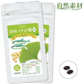 創業45年 DHAイチョウ葉プラス (約80日分) DHA EPA イチョウ葉 大豆レシチン ビタミンE入 イチョウハ サプリメント 80粒入2袋 1袋40日分でお得 送料無料 dha epa 大日ヘルシーフーズ直販 国内製造 ポスト投函