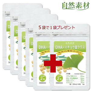 n45N DHAC`EtvX (20×5+1) 40n[tTCY6 p DHA EPA C`Et 哤V` r^~E dha epa Tvg wV[t[Y |Xg