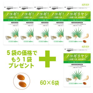 n45N mRMV Tv (6) GMPFH \[pbg 320mgz lQ  Y wV[t[Y  51v[g  |Xg