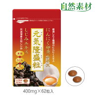 創業45年 元気隆盛粒 (約1ヶ月分) にんにく卵黄 しじみ ウコン 亜鉛入 無臭錠剤 ネコポス 62粒入 送料無…