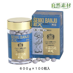 n45Nȏ̃xXgZ[ 얜GNZg ɂɂɃ[[[ Ŗ lQz  z