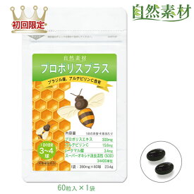 創業45年 好評延長 11/27まで48％OFF プロポリス300 60球 プロポリス サプリ 濃縮エキス300mgにアルテピリンC p-クマル酸 フラボノイド プロポリスプラス 飲みやすい粒 大日ヘルシーフーズ直販 ポスト投函