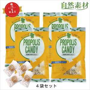 n45N v|X ̂ǈ LfB 4܃Zbg ̂ǂ̎ア v|Xɂ݂͂̔̂ǈ ׂ̗\hɂ̂ǂ鈹 wV[t[Y |Xg 