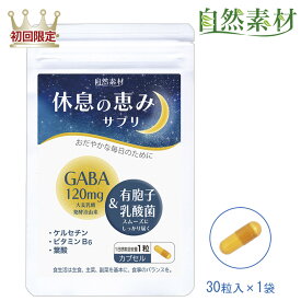 創業45年 好評につき延長 5/16まで 初回46％OFF 休息の恵みサプリ30粒(1ヶ月分) GABA 120mg ギャバ 有胞子乳酸菌 ケルセチン 葉酸 ビタミンB6 睡眠 サプリ 送料無料 一世帯2袋限り 大日ヘルシーフーズ直販 国内製造 ポスト投函