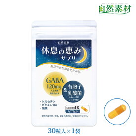 創業45年 休息の恵みサプリ30粒(1ヶ月分) GABA 120mg ギャバ 有胞子乳酸菌 ケルセチン 葉酸 ビタミンB6 送料無料 睡眠 サプリ 大日ヘルシーフーズ直販 国内製造 ポスト投函