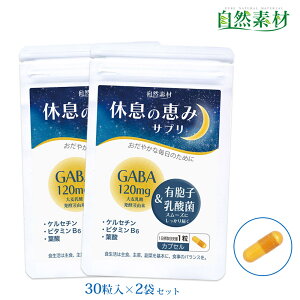 n45N x̌b݃Tv30×2(2) GABA 120mg Mo LEq_ PZ` t_ r^~B6   Tv wV[t[Y  |Xg