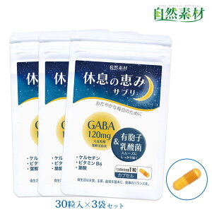 n45N x̌b݃Tv30×3(3) GABA 120mg Mo LEq_ PZ` t_ r^~B6   Tv wV[t[Y  |Xg