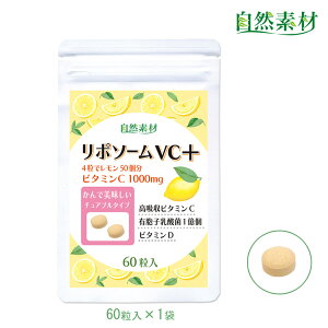 n45N |\[ r^~C 60 z ^r^~C ゠Ԃ^Cv r^~C1000mg LEq_ r^~D Tv  ꐢ2܌ wV[t[Y  |X