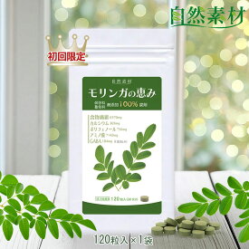 初回42％OFF 9/27まで 無農薬 モリンガ サプリ120粒 国内製造 約1ヶ月分 お試し 100％天然モリンガ 保存料着色料無添加 人気モリンガの恵み 大日ヘルシーフーズ 一世帯2袋限り ポスト投函 創業45年