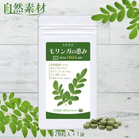 無農薬 モリンガの恵み 120粒 約1ヶ月分 100％天然モリンガ モリンガ サプリ 保存料着色料無添加 国内製造 創業45年 大日ヘルシーフーズ ポスト投函