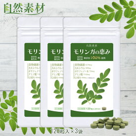 無農薬 モリンガの恵み 120粒3袋 約3ヶ月分 100％天然モリンガ モリンガ サプリ 保存料着色料無添加 国内製造 創業45年 大日ヘルシーフーズ ポスト投函