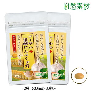 n45N ɂɂ [[[ Zkɂɂ JVE [vXZkɂɂ̗ 302 wV[t[Y  |Xg