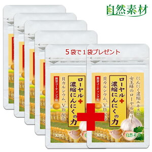 n45N ɂɂ [[[ Zkɂɂ JVE [vXZkɂɂ̗ p 305܁{1 wV[t[Y  |Xg