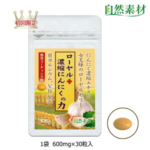 n45N D]ɂ 9/11܂37%OFF 艿i [[[ ɂɂ Zkɂɂ JVE [{Zkɂɂ̗ 301 ꐢ2܂܂ wV[t[Y  
