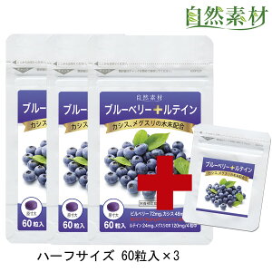 ブルーベリー 300gの通販 価格比較 価格 Com