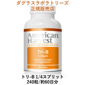 g-B 1/4Xvbg 240 60 r^~BQ TCY _OX{g[Y K戵X American Harvest AJn[xXg hN^[YTvg RRgp Kh[Y T