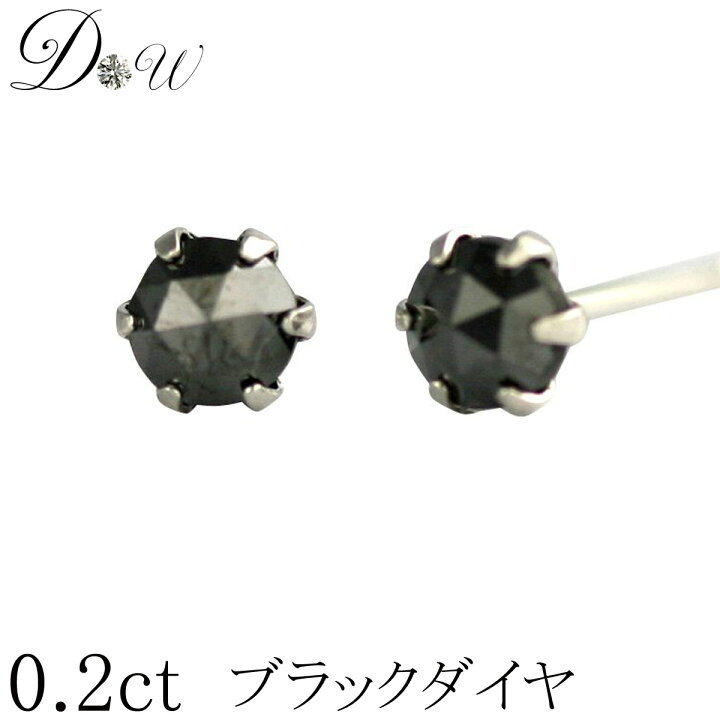 楽天市場】PT ブラックダイヤ ピアス 0.2ct ( 0.1ct ×2 ) 両耳用 品質 