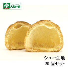 " 冷凍 シュークリーム 生地 20個 セット " 業務用 送料無料 シュー 北海道 スイーツ 洋菓子 スイーツ アレンジ 朝食 昼食 おつまみ カフェ 喫茶店 洋菓子店 お洒落 おかず 手作りギフト バレンタイン ホワイトデー 誕生会 プレゼント パーティー シュー生地 皮
