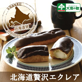 "18 北海道贅沢エクレア"1個 お取り寄せ 冷凍 保存可 デザート に 人気 の お菓子 業務用にも おやつ チョコ アイス 北海道 御礼 出産 デザート 自分用 内祝 父の日 母の日 スイーツ　通販 大地の歓