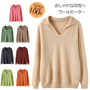 jbg Z[^[ fB[X H ~ E[100 VlbNZ[^[ vI[o[jbgZ[^[ y Vv  傫TCY ol UVPA ItBX  HD wZrWlX i _