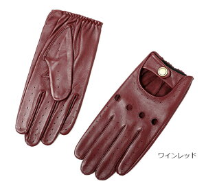  ėp uv  Y Oh~ ] oCN ^] U[O[u t  AJ   v rWlX ttBK[ ̓ Mtg ގ a v[gubN/C