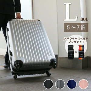 スーツケース Lサイズ 激安の人気商品 通販 価格比較 価格 Com スーツケース Lサイズ 激安の人気商品 通販 価格比較 価格 Com