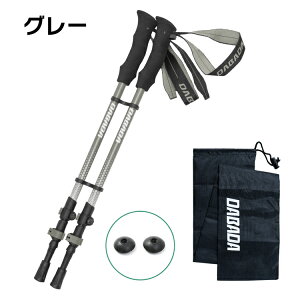 �y�}���\��P5�{�z �g���b�L���O�|�[�� �J�[�{�� ���y�� 2�{�Z�b�g �Œ�121cm �J�����b�N�� �o�R ���[�h ��R �E�H�[�L���O�|�[�� ���s�T�|�[�g DABADA