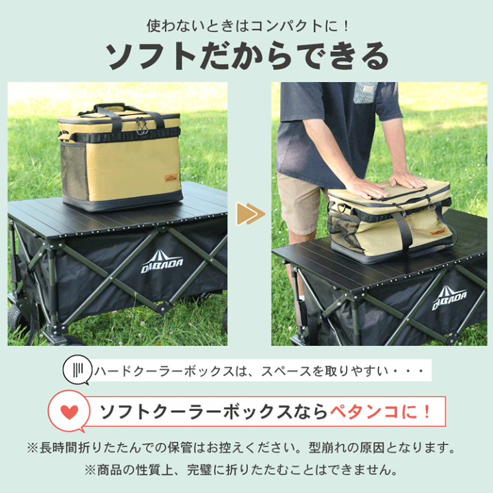 楽天市場】ソフトクーラーボックス 35L 最大42時間保冷 大容量