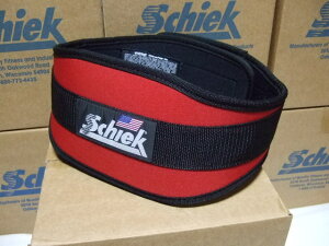 L6C`^Cv@Schiek@V[NteBOxg@Model4006@bh@EGCgg[jOɍœKI g[jOxgE{fBrE؃gE߂čɗ\hɁB