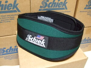 L^Cv@Schiek@V[NteBOxg@Model4006@O[@EFCgg[jOɍœKI g[jOxgE{fBrE؃gEɑ΍ɁB