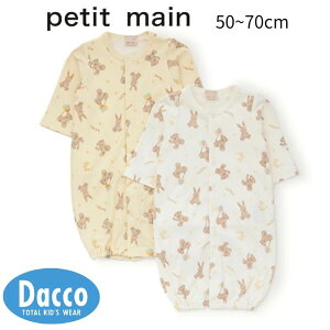 Petit main veB}C yz2WAYI[(50~70cm)9553531 q xr[ Ԃ p[X Jo[I[ 2025 H~