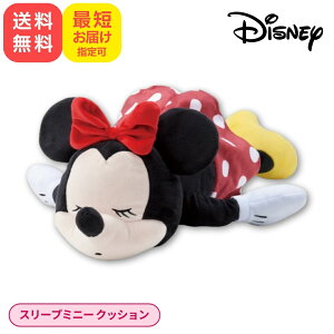 fBYj[ ~j[ X[vsN _CJbgNbV ₷ ₷ ʂ l` ܂  LbY Disney LN^[ ObY 킢  2215040900 ŒZzB S