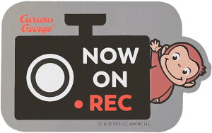 ̃W[W }OlbgJ[TC NOW ON REC ^撆 hR J[pi  qǂ LbY xCr[CJ[ xr[CJ[   ^J[ J[VFA Curious George LN^