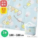 すみっコぐらし クッションマット 水玉ドット 2畳 レジャーシート 180x180cm 4?5人用 アサヒ興洋 大きい ビッグ 広い かわいい キャラクター ピクニック アウトドア キャンプ グッズ アルミ 収納袋付き 最短翌日配達 全国送料無料