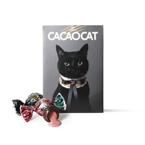 NX}XEΕE~Mtgɂ߁IDADACA  yGߌzpbP[WoIsCACAOCAT ~bNX 6tCAT RED IׂpbP[W NX}X v[g kC v~A `