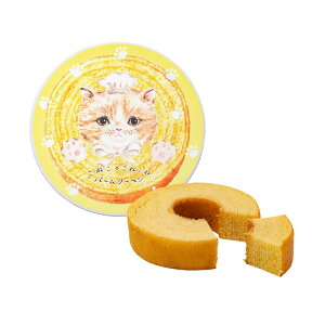 DADACA s˂̂˂˃o[N[wt Iׂ2 v[ VR kC `R[g o[N[w َq XC[c  mَq yY yY Mtg IV 킢 v