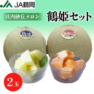【早期予約受付中！】【JA鶴岡 公式】【送料無料】鶴姫セット( 2玉 ） メロン 庄内砂丘 国産 山形県 鶴岡…