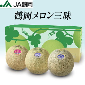 【早期予約受付中！】【JA鶴岡 公式】【送料無料】鶴岡メロン三昧 3玉セット 庄内砂丘メロン メロン 山形県 鶴岡産 庄内砂丘 アンデスメロン 鶴姫レッドメロン 食べ比べ お中元 ギフト 7月以降順次発送