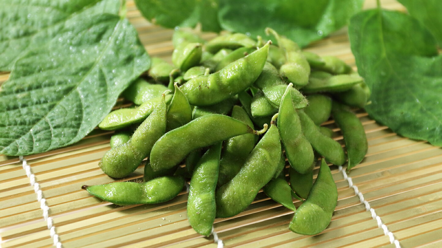 枝豆 と 茶 豆 の 違い