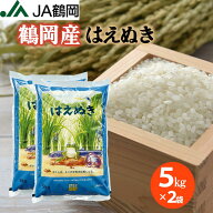 楽天店 特別価格【JA鶴岡 公式】【送料無料】 新米 令和7年度産 鶴岡産 はえぬき 5kg×2 10kg お米 はえ…