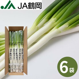 【期間限定】【JA鶴岡 公式】【送料無料】雪中軟白ねぎ6袋 ネギ 白ネギ 山形 ISNN- 6 3本〜4本入り×6袋