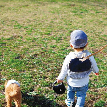 楽天市場 子供用ハーネス ベビーリュック リュック ハーネス付き ダディッコ 迷子 ひも おしゃれ 一升餅 リュックサック 赤ちゃん リュックサック 1歳 誕生日 プレゼント 2歳 保育園 人気 キッズ 誕生日 出産祝い おすすめ ブランド 安全 頭 転倒 防止 女の子 男の子