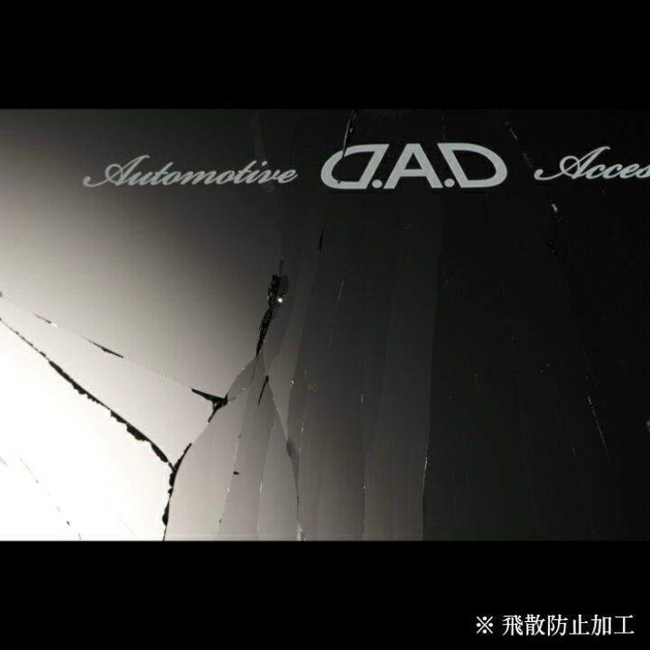 楽天市場 D A D Luxury ミラー タイプクロコダイル Garson ギャルソン Dad 防眩ミラー 飛散防止 D A D楽天市場店