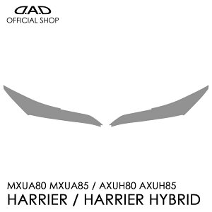 MXUA80/MXUA85/AXUH80/AXUH85 nA[/nA[ nCubh D.A.D YveNVtB NA/X[N/UVX[N AI001 LENS PROTECTION FILM Ԏp݌v  DAD M\ GARSON wbhCg 