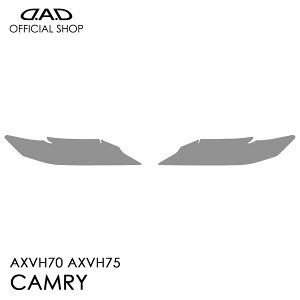 AXVH70 AXVH75 J (CAMRY) D.A.D YveNVtB NA/X[N/UVX[N AI059 LENS PROTECTION FILM Ԏp݌v  DAD M\ GARSON wbhCg Yی LYh~ ΂ݖh